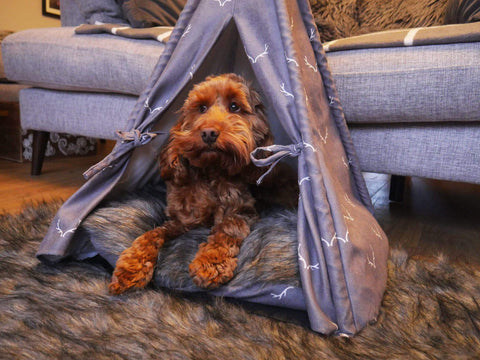 Rosewood Pet Beds Rosewood Wolf & Tiger Christmas Antler Hygge Teepee Dog / Cat Bed