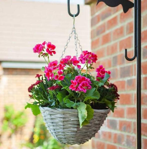 Smart Garden Hanging Baskets Sable Willow Hanging Basket