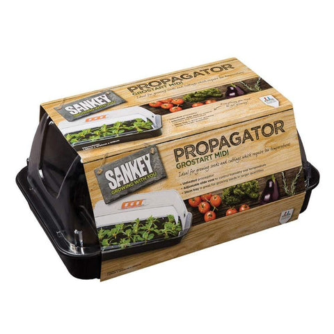 Sankey Propagator Unheated Sankey Grostart Propagator Midi Unheated, 38cm