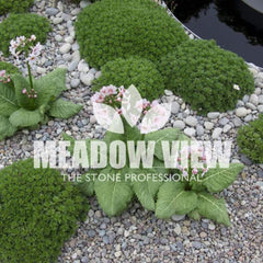 Meadow View Landscaping Scottish Pebbles 20-30mm