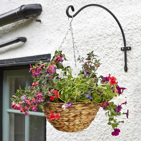 Smart Garden Hanging Baskets Smart Garden 14 inch Hyacinth hanging basket