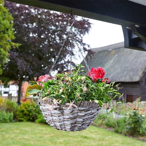 Smart Garden Hanging Baskets Smart Garden 14 inch Raffina Hanging Basket