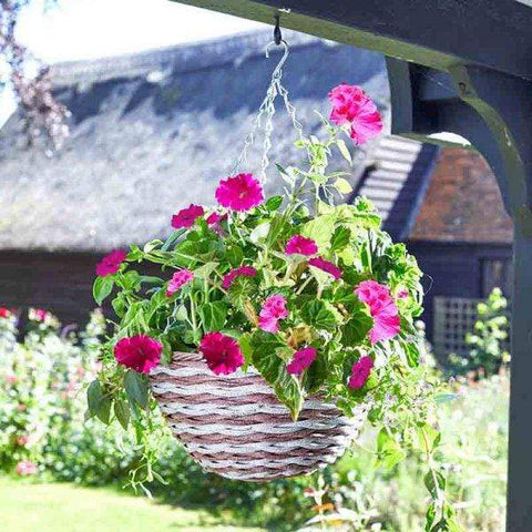 Smart Garden Hanging Baskets Smart Garden 14in Duet Faux Rattan Hanging Basket