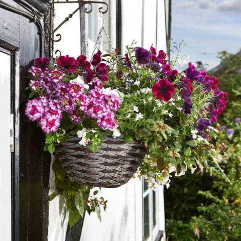 Smart Garden Hanging Baskets Smart Garden 14in Pinto Faux Rattan Hanging Basket