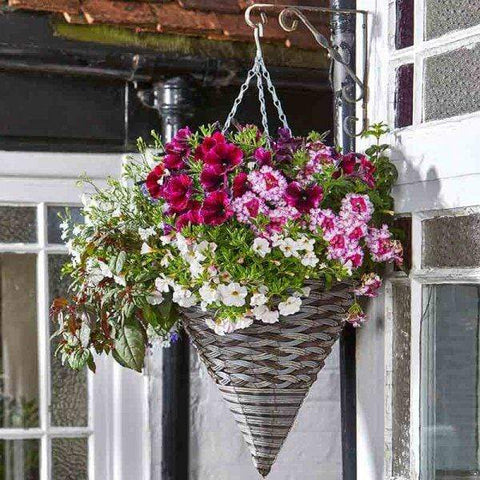 Smart Garden Hanging Baskets Smart Garden 14in Pinto Faux Rattan Hanging Cone