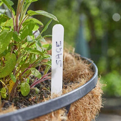 Smart Garden Gardening Accessories Smart Garden 15cm Plant Labels 50pk