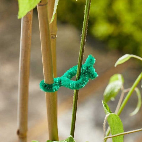 Smart Garden Gardening Accessories Smart Garden 15cm SofTies 50pk