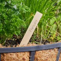 Smart Garden Gardening Accessories Smart Garden 15cm Wooden Plant Labels 20pk