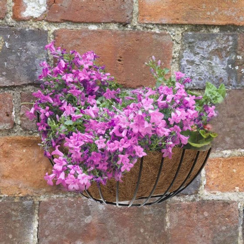 Trowell Garden Centre Smart Garden 16in Smart Wall Basket