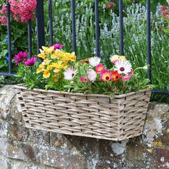 Smart Garden Pots & Planters Sand Smart Garden 19" Bari planter - 2 colours available