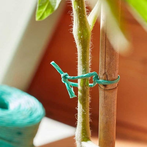 Smart Garden Gardening Accessories Smart Garden 250g Rot Proof PolyTwine Green