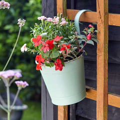 Smart Garden Pots & Planters Smart Garden 6 inch Fence & Balcony Hanging Pot, various colours