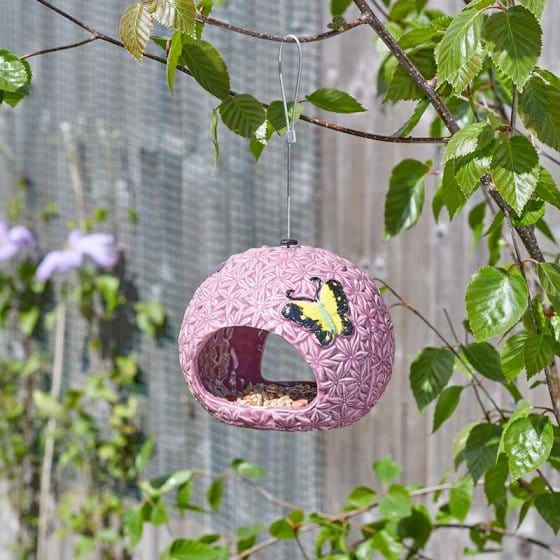 ChapelWood Peanut Feeders Smart Garden Allium Fly Through Feeder