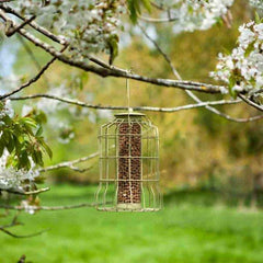ChapelWood Squirrel Proof Feeders Smart Garden Chapelwood Original Squirrel Proof Peanut Feeder