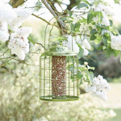 ChapelWood Squirrel Proof Feeders Smart Garden Chapelwood Premier Squirrel Proof Peanut Feeder