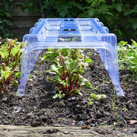 Smart Garden Cloches Smart Garden Clear Cloche