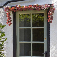 Smart Garden Wreaths & Garlands Smart Garden Eucalyptus Garland, Verde or Violet