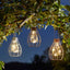 Smart Garden Solar Lighting Smart Garden Eureka! Firefly Lantern, Silver, Rose Gold and Copper