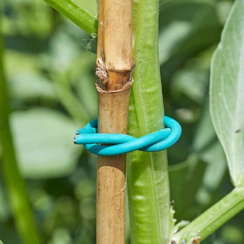 Smart Garden Gardening Accessories Smart Garden Extra Thick Foam twist 5m