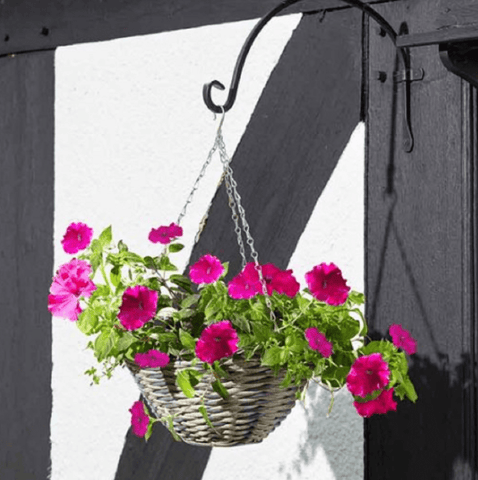 Smart Garden Hanging Baskets Smart Garden Faux Rattan Hanging Basket Oceana 14in