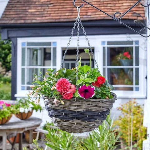 Smart Garden Hanging Baskets Smart Garden Firenze 14 inch Hanging Basket