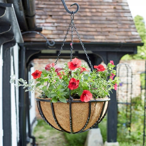 Trowell Garden Centre Smart Garden Forge Hanging Basket 14", 16" or 18"