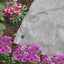 Smart Garden Fleece Plant Covers Smart Garden G20 Plant Warming Fleece Roll - 10m x 1.5m