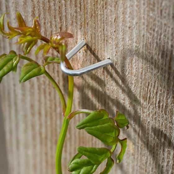 Smart Garden Gardening Accessories Smart Garden Galvanised Garden Staples - 100 Pack