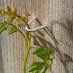 Smart Garden Gardening Accessories Smart Garden Galvanised Garden Staples - 100 Pack