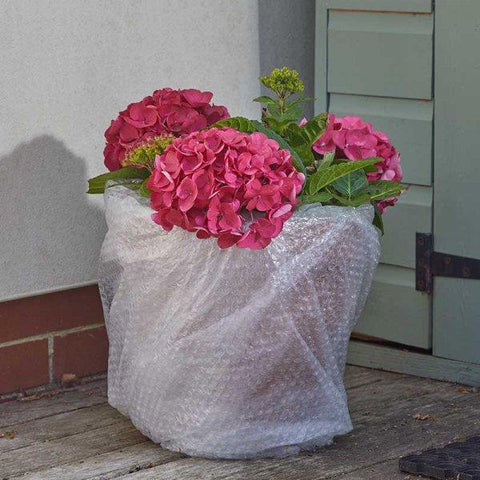 Smart Garden Bubble Insulation Smart Garden Garden & Home Bubble Film - 0.75m x 10m