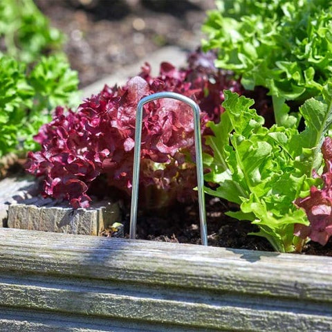 Smart Garden Gardening Accessories Smart Garden, Garden Staples - 10 Pack