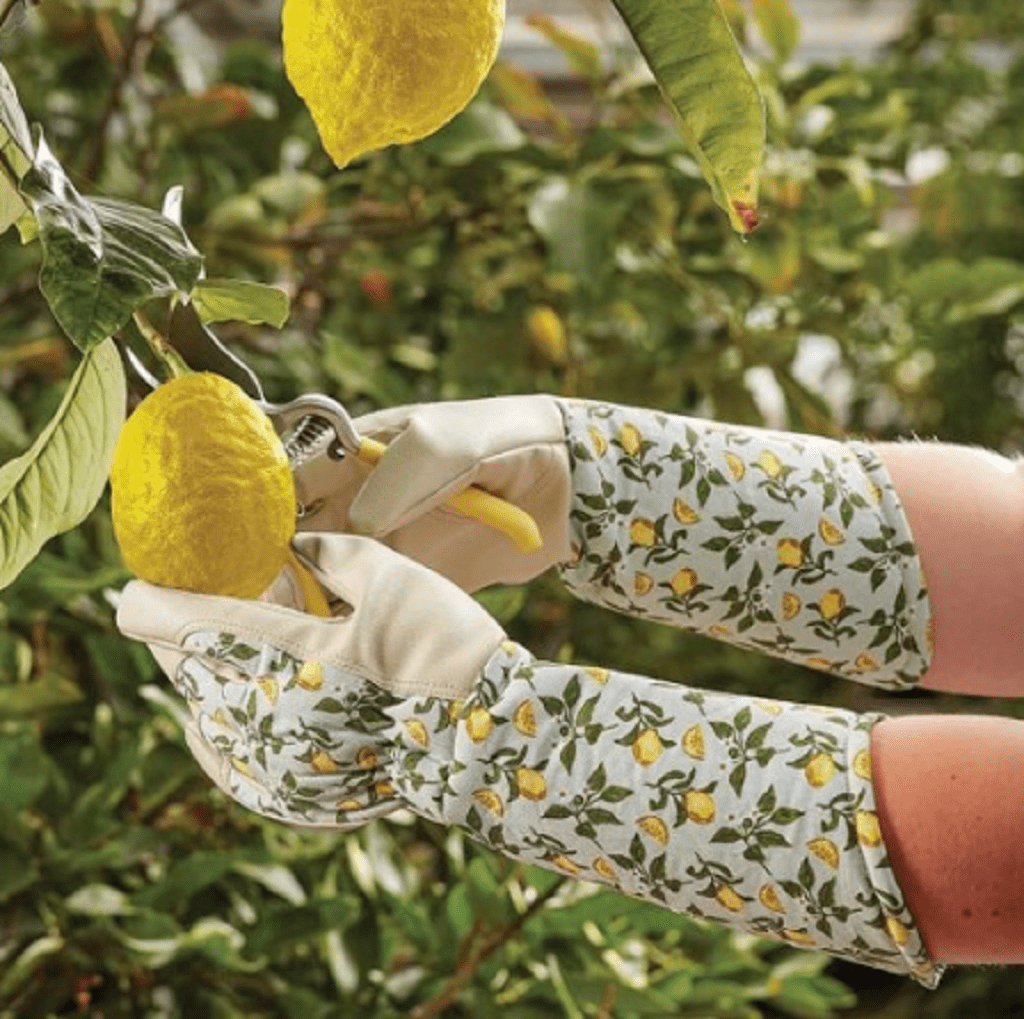Smart Garden Gardening Gloves Smart Garden Gardening Gloves Gauntlet Sicilian