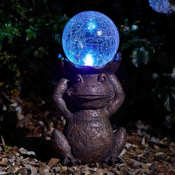 Trowell Garden Centre smart Garden Gazing Frog