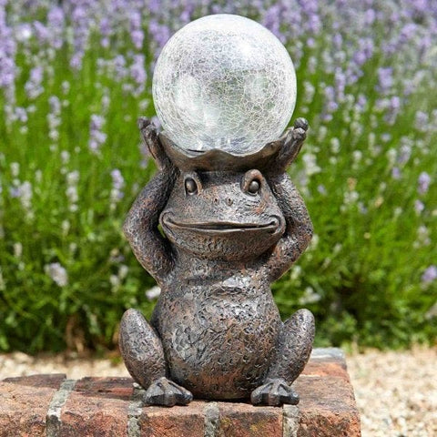 Trowell Garden Centre Smart Garden Gazing Frog