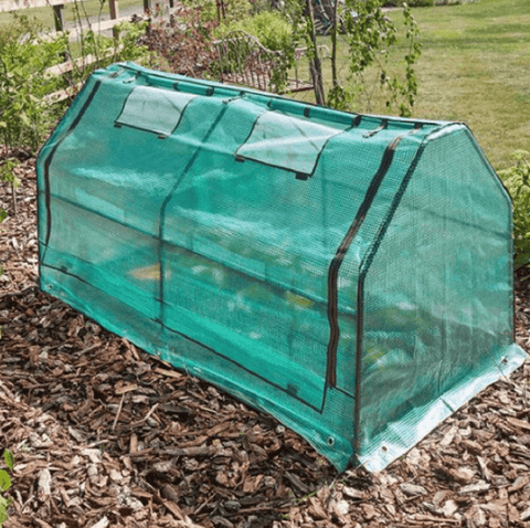 Smart Garden Cloches Smart Garden GroZone Cloche Max