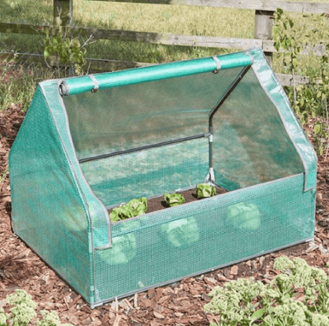 Smart Garden GroCloche Smart Garden GroZone GroCloche