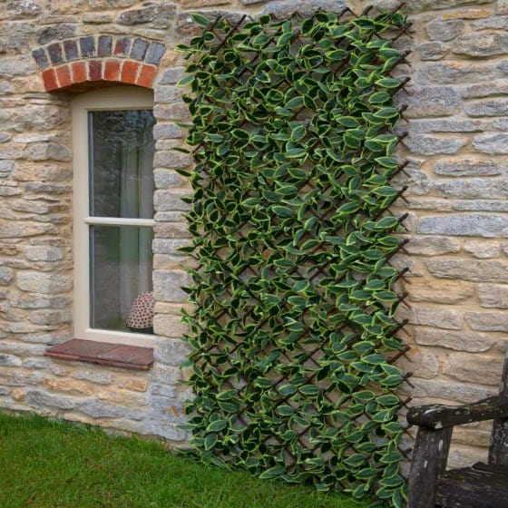 Trowell Garden Centre Smart Garden Hosta Leaf Trellis