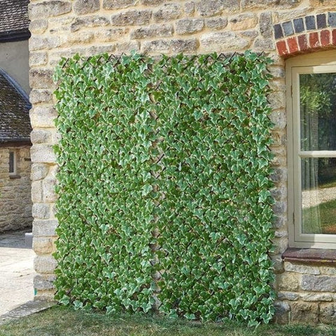 Trowell Garden Centre Smart Garden Ivy Leaf Trellis 180 x 60 cm