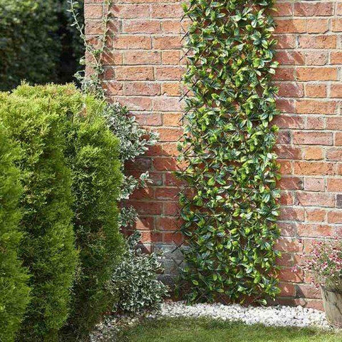 Smart Garden Topiary Trellis Smart Garden Lemon Leaf 180 x 90cm Trellis
