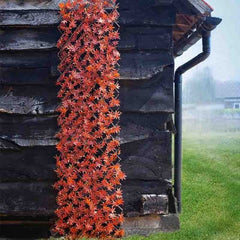Smart Garden Topiary Trellis 180 x 90cm Smart Garden Red Acer Leaf 2 different sizes