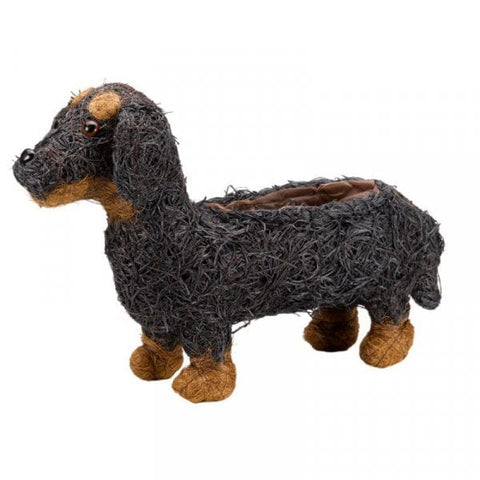 Smart Garden Novelty Planters Smart Garden Sausage Dog Planter