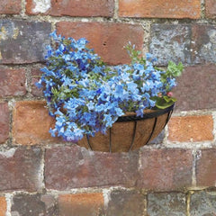 Smart Garden Hanging Baskets Smart Garden Saxon Wall Manger