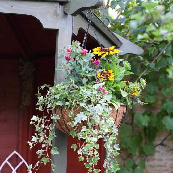 Smart Garden Hanging Baskets Smart Garden Smart Hanging Basket - 16 Inches