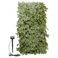 Trowell Garden Centre Smart Garden Solar In-Lit Ivy 180 x 60cm Trellis