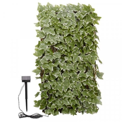 Trowell Garden Centre Smart Garden Solar In-Lit Ivy 180 x 90cm Trellis