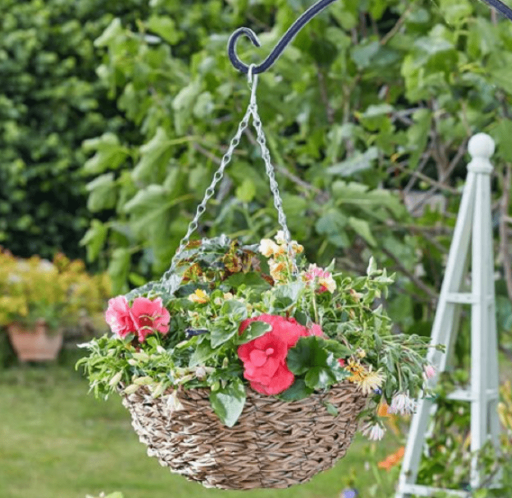 Smart Garden Hanging Baskets Smart Garden Sophia Faux Rattan Hanging Basket 14in