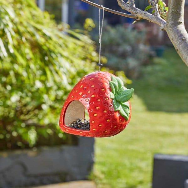 ChapelWood Seed Feeders Smart Garden Strawberry Fly Through Feeder