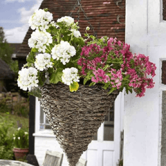 Smart Garden Hanging Baskets Smart Garden Tawny Faux Rattan Cone Hanging Basket 14in