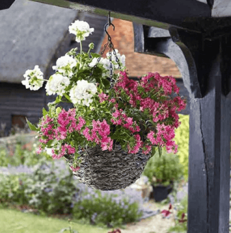 Smart Garden Hanging Baskets Smart Garden Tawny Faux Rattan Hanging Basket 14in