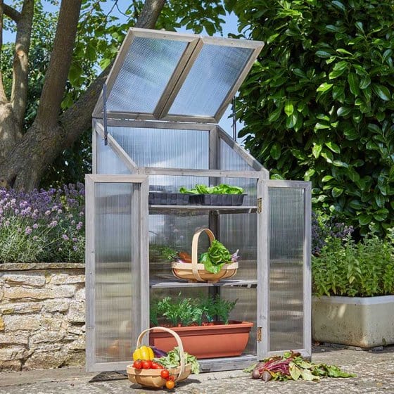 Smart Garden Greenhouses Smart Garden Timber GroZone Max